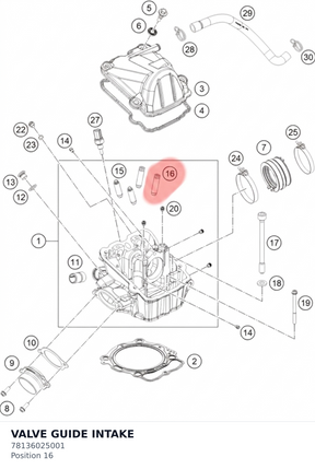 Diagram preview: VALVE GUIDE INTAKE (78136025001)