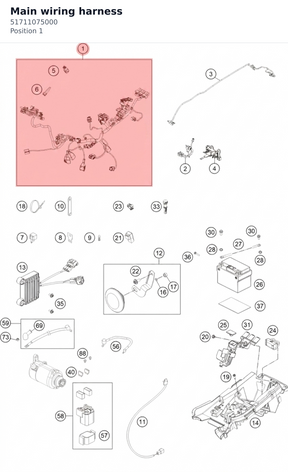Diagram preview: Main wiring harness (51711075000)