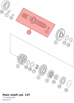 Diagram preview: Main shaft cpl. 13T (77733001100)