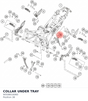 Diagram preview: COLLAR UNDER TRAY (90508016060)