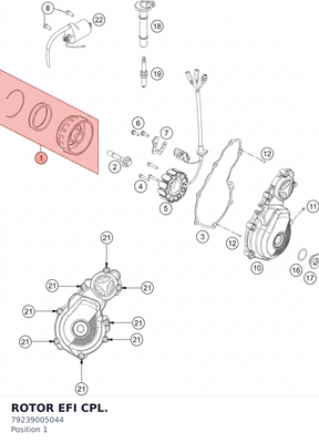Diagram preview: ROTOR EFI CPL. (79239005044)
