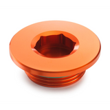 Ignition cover plug