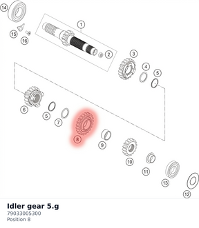 Diagram preview: Idler gear 5.g (79033005300)