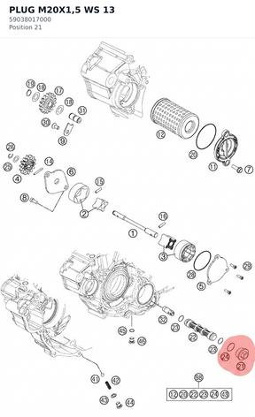 Diagram preview: PLUG M20X1,5 WS 13 (59038017000)