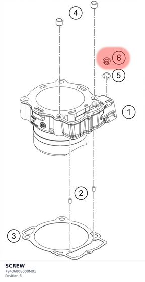 Diagram preview: SCREW (79436008000M01)