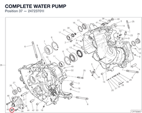 COMPLETE WATER PUMP 24723701I diagram position
