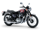 Kawasaki W800 2024