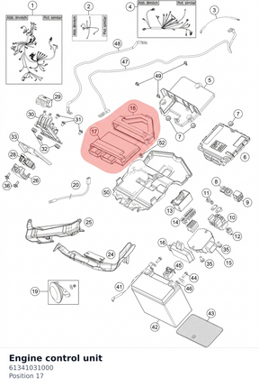 Diagram preview: Engine control unit (61341031000)