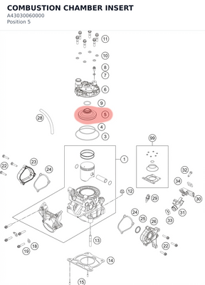 Diagram preview: COMBUSTION CHAMBER INSERT (A43030060000)