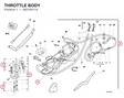 THROTTLE BODY