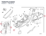 THROTTLE BODY