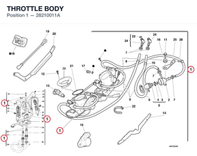 THROTTLE BODY