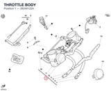 THROTTLE BODY
