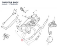 THROTTLE BODY