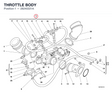 THROTTLE BODY