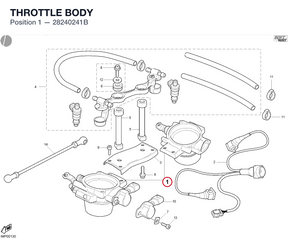 THROTTLE BODY