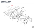 THROTTLE BODY
