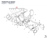 THROTTLE BODY