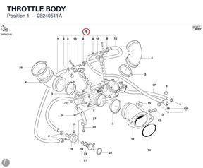 THROTTLE BODY