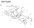 THROTTLE BODY