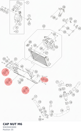 Diagram preview: CAP NUT M6 (93035003000)