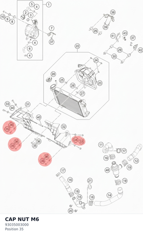 Diagram preview: CAP NUT M6 (93035003000)