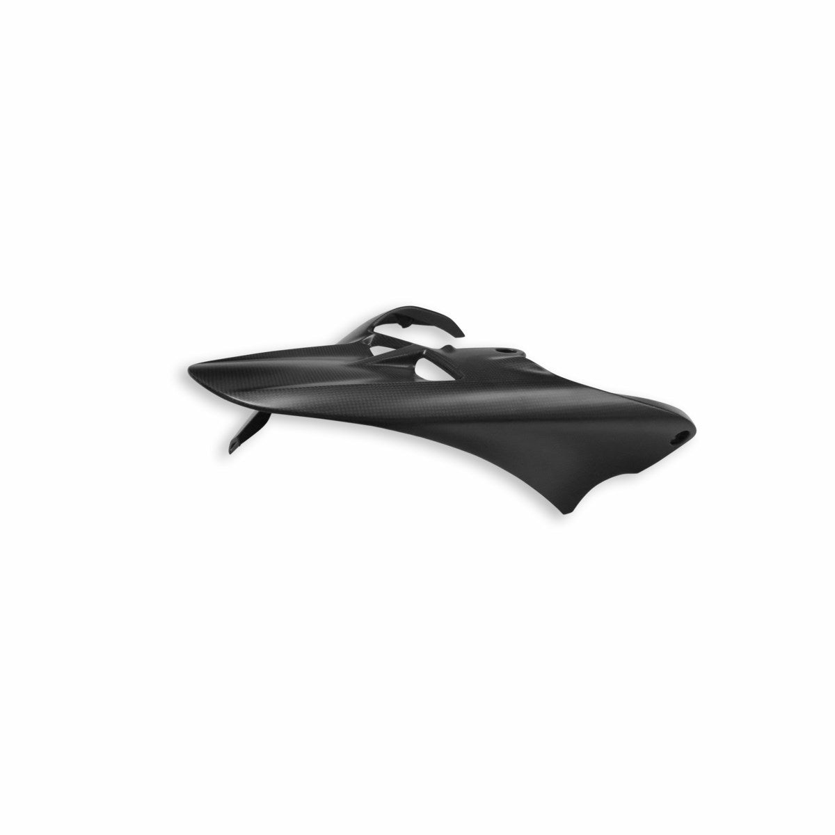 Carbon rear mudguard (Carb. 1207 glossy)