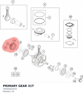 Diagram preview: PRIMARY GEAR 31T (79432023231)