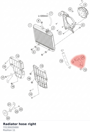 Diagram preview: Radiator hose right (72135025000)