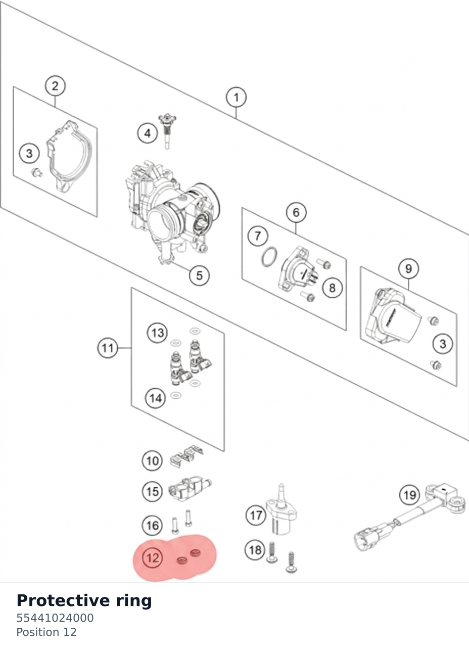 Diagram preview: Protective ring (55441024000)