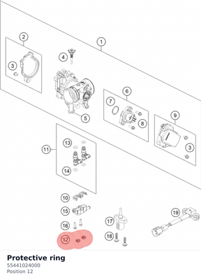 Diagram preview: Protective ring (55441024000)