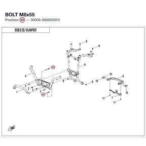 BOLT M8x55 product image