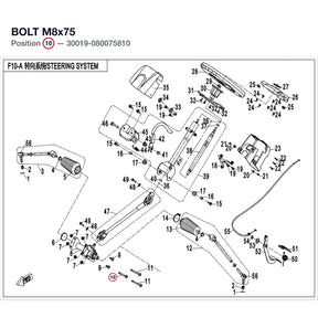 BOLT M8x75 product image