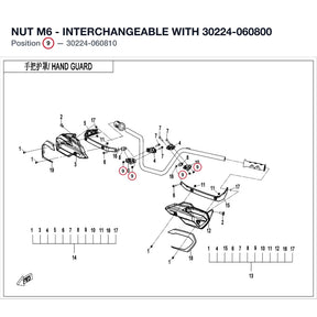 NUT M6 - INTERCHANGEABLE WITH  30224-060800 product image