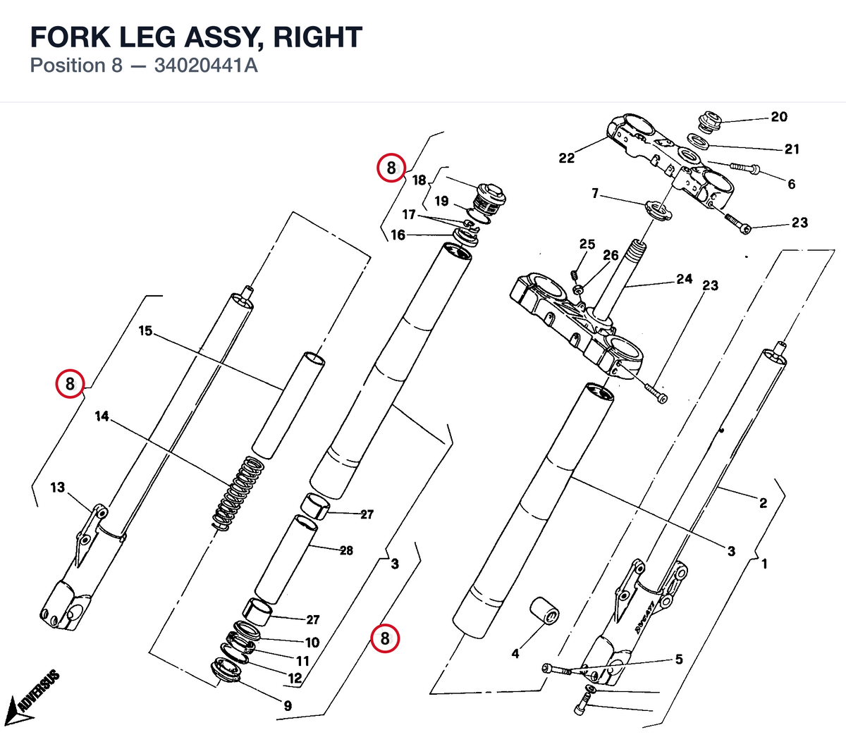 FORK LEG ASSY, RIGHT