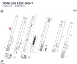 FORK LEG ASSY, RIGHT
