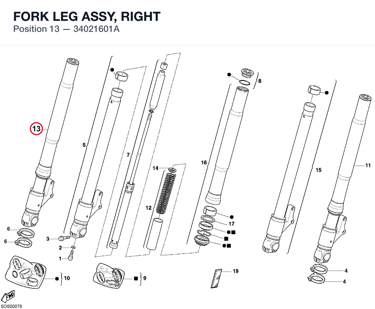 FORK LEG ASSY, RIGHT