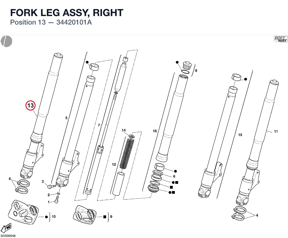 FORK LEG ASSY, RIGHT