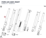 FORK LEG ASSY, RIGHT