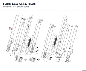 FORK LEG ASSY, RIGHT