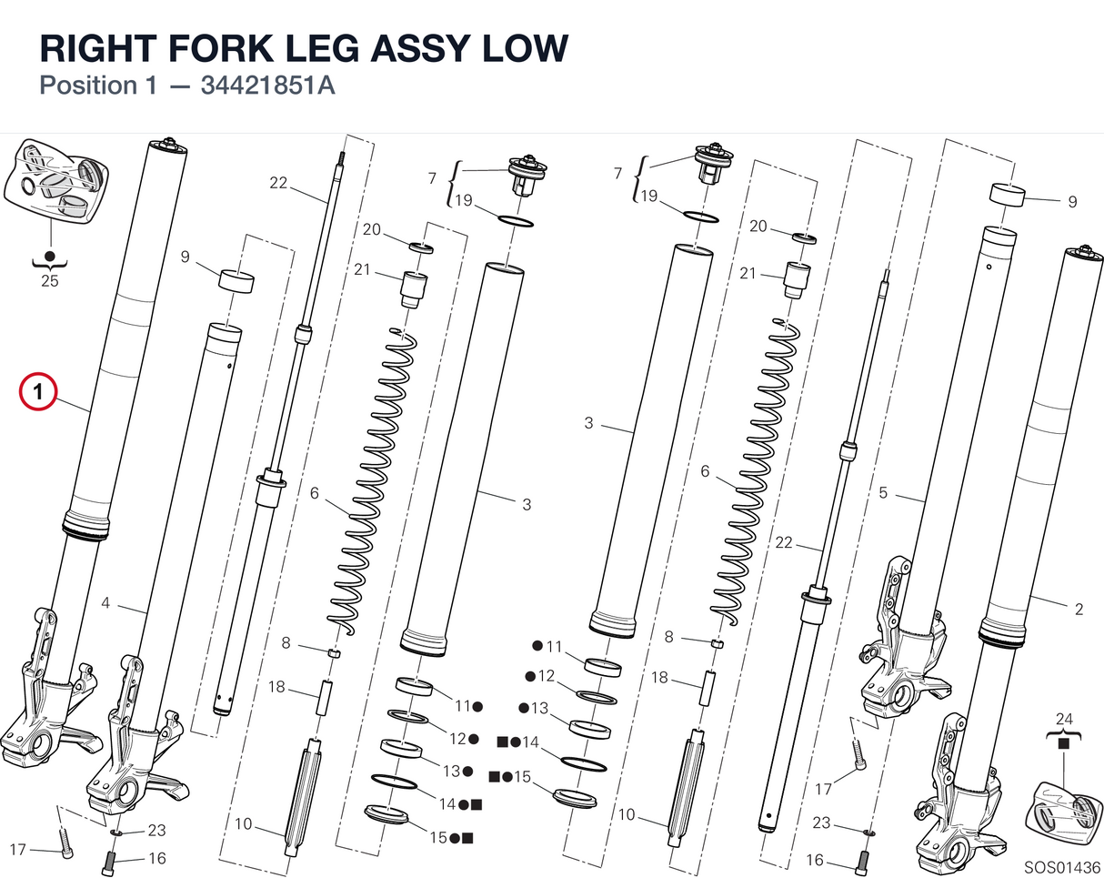RIGHT FORK LEG ASSY LOW