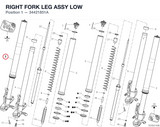 RIGHT FORK LEG ASSY LOW