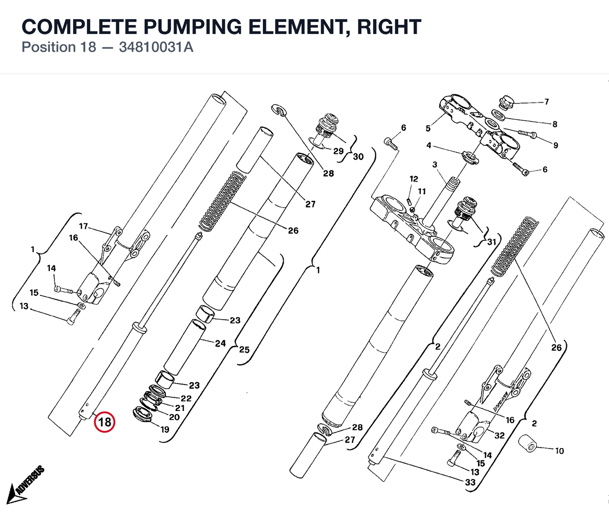 COMPLETE PUMPING ELEMENT, RIGHT