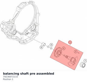 Diagram preview: balancing shaft pre assembled (79236072133)