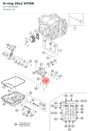 Diagram preview: O-ring 20x2 VITON (C0770020020)