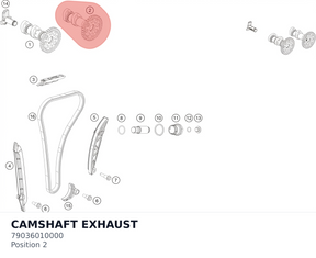 Diagram preview: CAMSHAFT EXHAUST (79036010000)