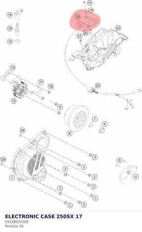 Diagram preview: ELECTRONIC CASE 250SX       17 (55439031000)