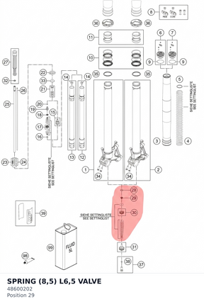 Diagram preview: SPRING (8,5) L6,5 VALVE (48600202)