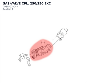 Diagram preview: SAS-VALVE CPL. 250/350 EXC (79205024044)