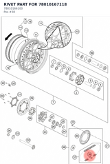 Diagram preview: RIVET PART FOR 78010167118 (78010166100)